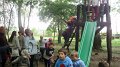 2011 05 02 Vadaspark 085